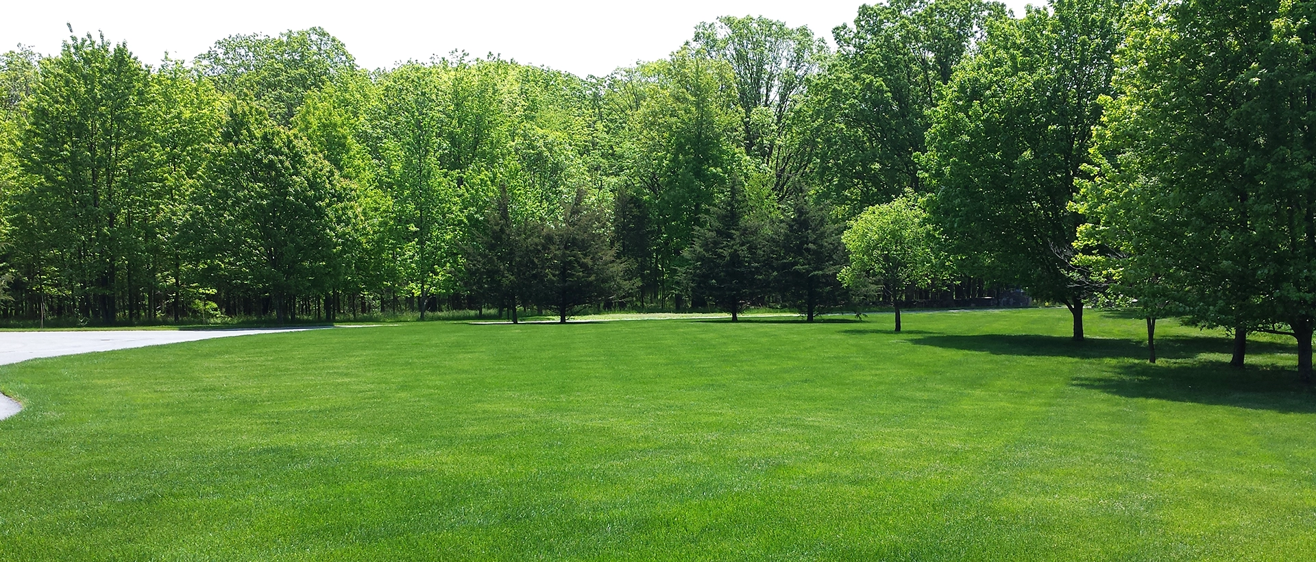 lawn-in-wyckoff-new-jersey-treated-by-lawnamat